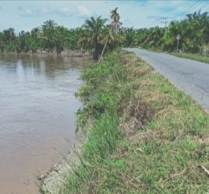 Jalan Provinsi Kabupaten Nagan Raya Lintas Lamie Langkak Terancam Putus