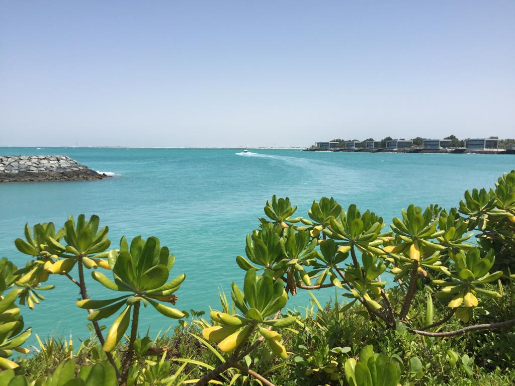 IMG 20210406 WA0015
