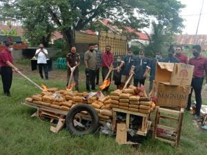 Ditresnarkoba Polda Aceh Musnahkan Ratusan Kilogram Barang Bukti Narkotika Jenis Ganja
