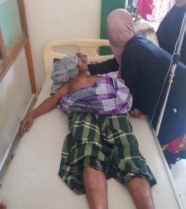 Kritis, Petani Gampong Layan Tangse Kabupaten Pidie Terinjak Gajah Liar