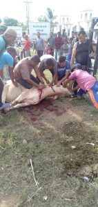 Gampong Tibang Salurkan 588 Paket Danging Kurban kepada Masyarakat