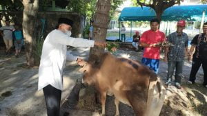 SMA Negeri 3 Banda Aceh Qurban 6 Ekor Sapi