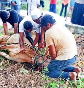 400 KK Warga Desa Sukaraja Terima Daging Qurban, Ketua Panitia H.TR Saiful: Qurban kali ini yang terbanyak