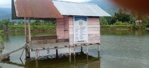 Proyek Dana Pokir Pembangunan Kolam Ikan Dikerjakan Dilahan Pribadi Warga