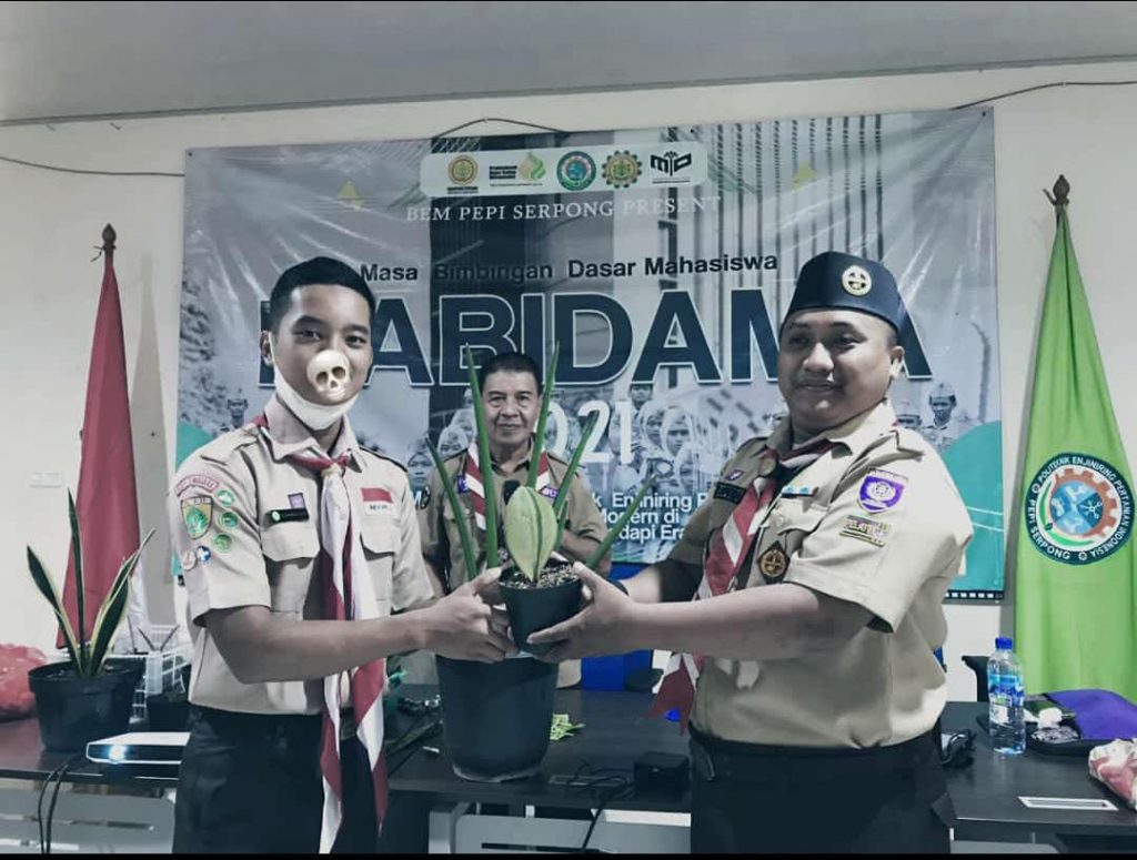 IMG 20210916 WA0029
