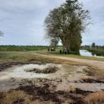 IMG 20220212 WA0004 1