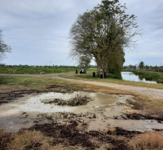 IMG 20220212 WA0004 1