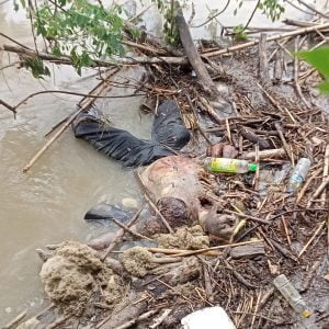 Warga Desa Lueng Keube Jagat Temukan Mayat Saat Hendak Memancing Di Sungai