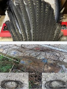 Penyidik Tetapkan Dua Tersangka Pelaku Pembunuhan Tiga Harimau Sumatera di Aceh