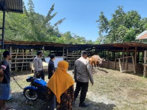Masyarakat Diimbau Kandangkan Hewan Ternak yang Terinfeksi PMK, Ini Alasannya