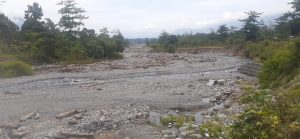 Pasca Banjir, Kayu Gelondongan Masih Beserakan di DAS Lawe Kinge