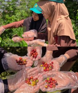 Kuliah Kerja Nyata, Mahasiswa USK Hasilkan Produk Green Economy Bersama Masyarakat Desa di Aceh Tengah