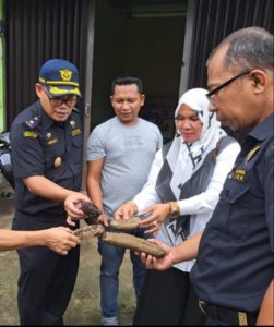 UMKM Tangguh Bank Aceh Menggali Potensi Teripang di Raseuki Laot