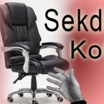 ilustrasi posisi dan peran sekda