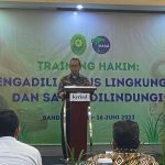 IMG 20230615 WA0027