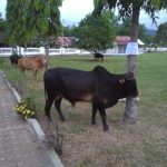 IMG 20230627 WA0082