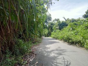 Hati-hati!, Ruas Jalan di PDKS Sempit dan Semak Belukar
