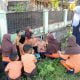 IMG 20231125 WA0022