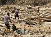 Didukung Tiga Anjing Pelacak K-9, Ditpolsatwa Korsabhara Baharkam Polri Lakukan Penyisiran Korban di Aceh Tamiang