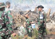 TNI dan Tim Gabungan Padamkan Kebakaran Hutan di Trumon, Aceh Selatan