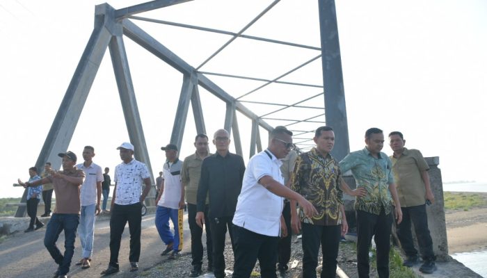 Wagub Aceh Tinjau Jalan IJD Kementerian PUPR di Pidie