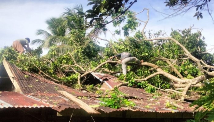 Rumah Warga di Lembah Seulawah Rusak Berat Tertimpa Pohon Tumbang, BPBD Aceh Besar Bergerak Cepat