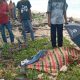 Hari Keempat Pencarian, Pemuda Pulo Aceh yang Terseret Ombak Ditemukan Meninggal Dunia