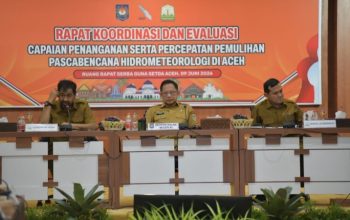 Enam Bulan Pascabencana, Mualem Desak Percepatan Pemulihan Sawah, Irigasi, dan Sungai di Aceh
