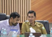Mualem Minta Revisi Proyek Gas Andaman, Dorong Hilirisasi di KEK Arun