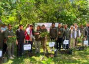 Hijaukan Jantho, BKSDA Aceh Gandeng Peternak Lebah dan Berbagai Mitra Gelar “Road to HKAN 2026