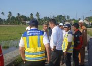 Sekda Aceh Tinjau Rehabilitasi Sawah di Aceh Timur, Dorong Percepatan Pemulihan Sektor Pertanian