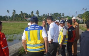 Sekda Aceh Tinjau Rehabilitasi Sawah di Aceh Timur, Dorong Percepatan Pemulihan Sektor Pertanian