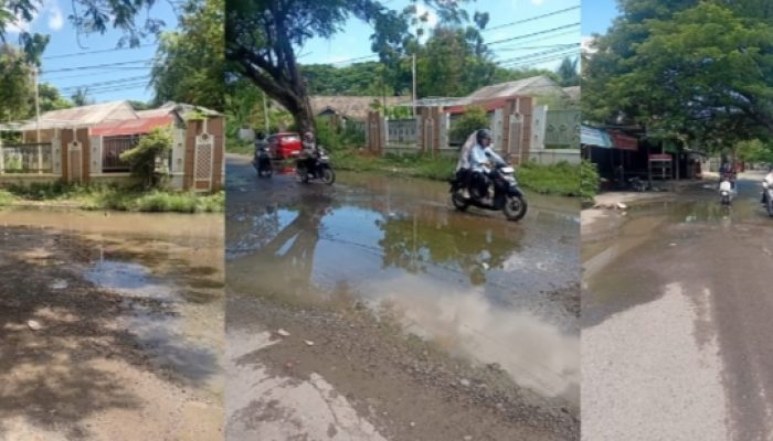 Drainase Tersumbat dan Pohon Membahayakan, Jalan Lingkar UIN Ar-Raniry Tergenang Berbulan-bulan