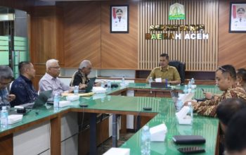 Migas Blok Andaman, Sejumlah Korporasi Lirik Hilirisasi KEK Arun