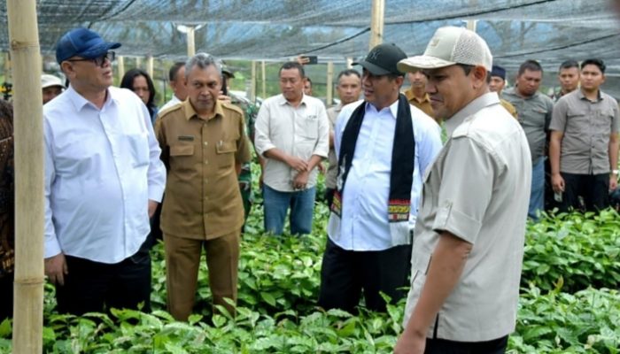 Mentan Apresiasi Kinerja Pemerintah Aceh, Janji Terus Dukung Pengembangan Pertanian dan Kopi Gayo‎