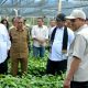 Mentan Apresiasi Kinerja Pemerintah Aceh, Janji Terus Dukung Pengembangan Pertanian dan Kopi Gayo‎