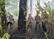 Quick Response Brimob Polda Aceh Tangani Kebakaran Hutan di Lembah Seulawah