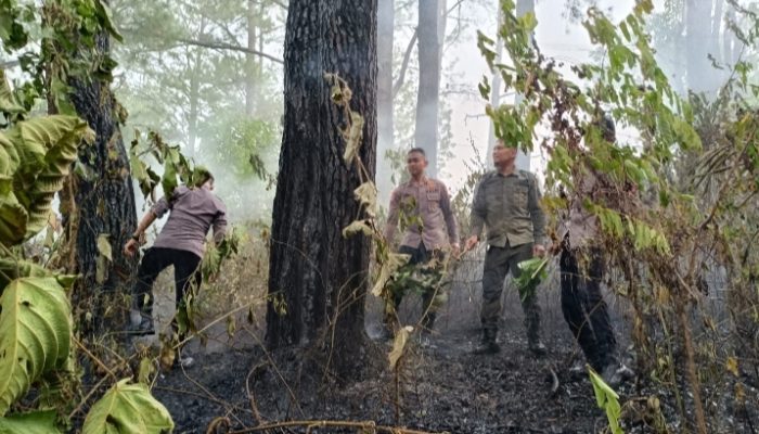 Quick Response Brimob Polda Aceh Tangani Kebakaran Hutan di Lembah Seulawah