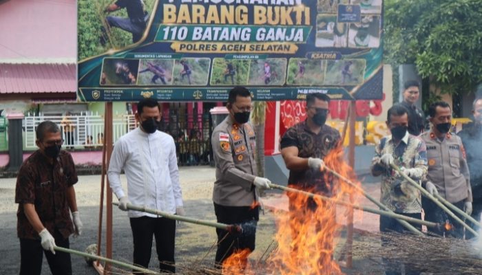 Musnahkan Barang Bukti Ganja, Kapolres Aceh Selatan Tegaskan Komitmen Berantas Narkotika