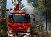 Karhutla Landa Lhoknga, BPBD Aceh Besar Bergerak Cepat Padamkan Api Sebelum Meluas