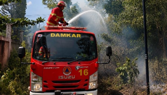 Karhutla Landa Lhoknga, BPBD Aceh Besar Bergerak Cepat Padamkan Api Sebelum Meluas