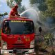 Karhutla Landa Lhoknga, BPBD Aceh Besar Bergerak Cepat Padamkan Api Sebelum Meluas