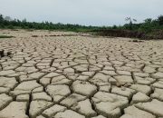 Stafsus Gubernur Terima Aduan Sawah Rusak Pascabencana di Aceh