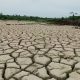 Stafsus Gubernur Terima Aduan Sawah Rusak Pascabencana di Aceh