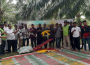 PT Socfindo Seunagan Edukasi Petani Sawit di Nagan Raya, Serahkan Alat Panen
