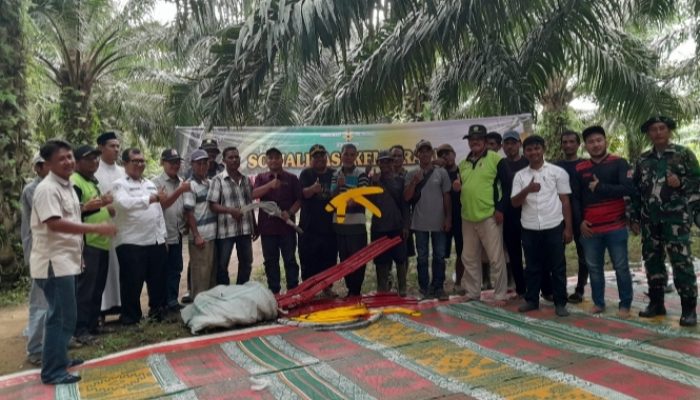 PT Socfindo Seunagan Edukasi Petani Sawit di Nagan Raya, Serahkan Alat Panen
