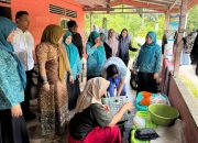 Mukarramah Fadhlullah Tinjau Sentra Kolang-Kaling Tangse, Dorong Pengembangan Produk Lokal