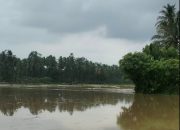 Banjir Genangi Rumah Warga di Aceh Besar, Ketinggian Air Capai 50 Sentimeter