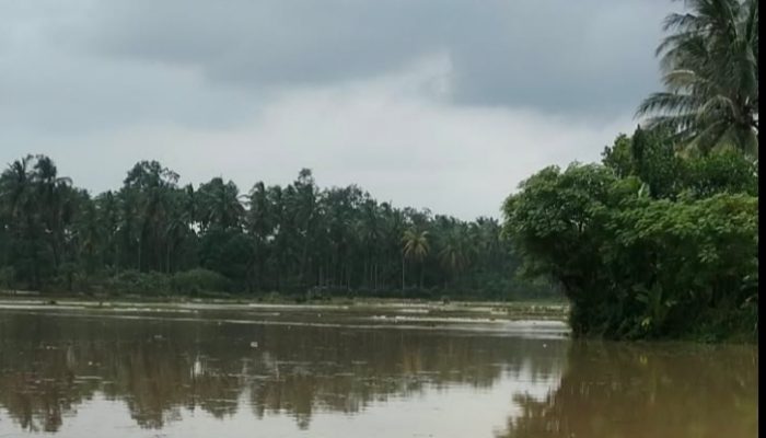 Banjir Genangi Rumah Warga di Aceh Besar, Ketinggian Air Capai 50 Sentimeter